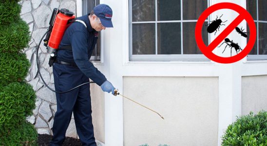 Hanak Kemirgen İlaçlama böcek ilaçlama ve haşere kontrolü — ilaclama-tr.com